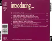 CD - Noiseworks / The Black Sorrows / a. o. - Introducing...