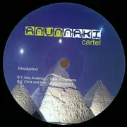 12inch Vinyl Single - Chris Mitchell a.o. - Introduction