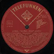 LP - Die Blaskapelle Sepp Vierlinger - Jubel Trubel Heiterkeit