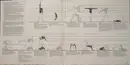 Double LP - The Jacksons, REO Speedwagon a.o. - Jane Fonda's Workout Record