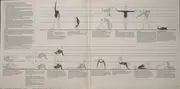 Double LP - The Jacksons, REO Speedwagon a.o. - Jane Fonda's Workout Record