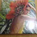 Double LP - Various - Latin Festival