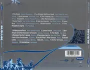Double CD - Various - Live From Bonnaroo 2003