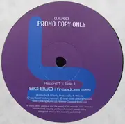 12inch Vinyl Single-Box - Big Bud, Blame, Seba, Blu Mar Ten, Artemis - Logical Progression Level 3 - PROMO