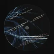 2 x 12inch Vinyl Single - Various - Lovefield - No Dream But Life