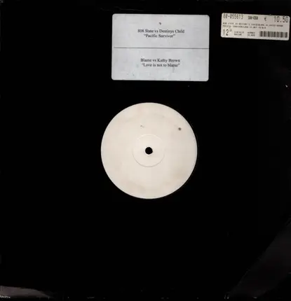 808 State, Destiny's Child, Blame, Kathy Brown - Pacific Survivor / Love Is Not To Blame