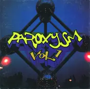 Underground Resistance, Desiya, DJ Massive a.o. - Paroxysm Vol. 1