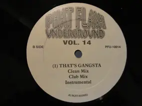 Various Artists - Phat Flava Underground Vol. 14