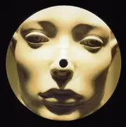 LP-Box - V/A - Plastic City Maybe -12tr- - INCL. BIOGROUND, PETE MOSS, MULDER, SODA INC.