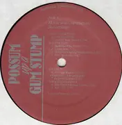 LP - Charlie Stripling / D. Dix Hollis a.o. - Possum Up A Gum Stump - + Booklet