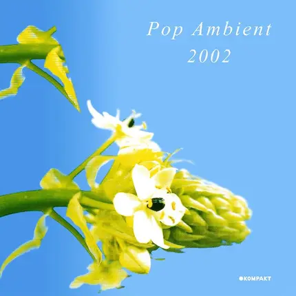 Triola, Donnacha Costello, Ulf Lohmann - Pop Ambient 2002