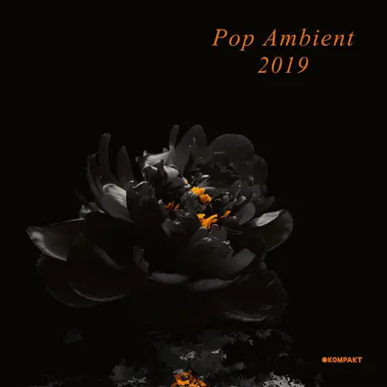 Thore Pfeiffer / Coupler / The Black Frame a.o. - Pop Ambient 2019
