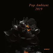 Thore Pfeiffer - Pop Ambient 2019