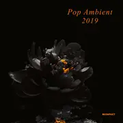 CD - Thore Pfeiffer / Coupler / The Black Frame a.o. - Pop Ambient 2019 - Digisleeve