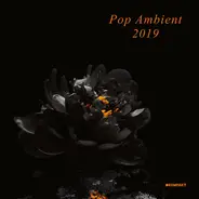 Thore Pfeiffer / Coupler / The Black Frame a.o. - Pop Ambient 2019