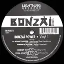 12inch Vinyl Single - DJ Bountyhunter, Phrenetic System, Belgica Wave, Final Analyzis - Power Vinyl 1