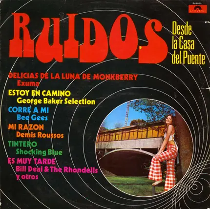 Shocking Blue, Demis Roussos a.o. - Ruidos Desde La Casa Del Puente
