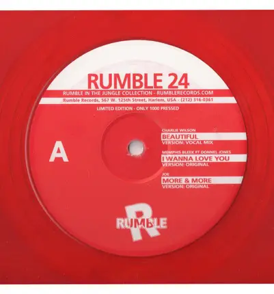 Ragga Hip Hop Sampler - Rumble 24