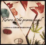 CD - The Pretenders / Emmylou Harris a.o. - Return Of The Grievous Angel / A Tribute To Gram Parsons