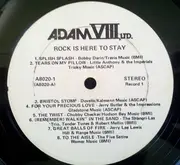 LP-Box - Bobby Darin, Sam Cooke a.o. - Rock Is Here To Stay
