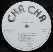 LP - Earth & Stone, Earl Sixteen - Roots & Culture