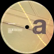 Orbital, BT, Sasha a.o. - Sasha Remixes