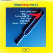 Mozart / Beethoven / Brahms / Schubert / Barber / Ravel - Schatzkammermusik