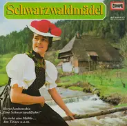 Die Wildbachsänger / Die Lustigen Schwarzwälder a.o. - Schwarzwaldmädel