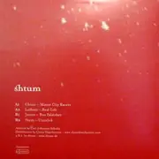 12inch Vinyl Single - Various - shtum 010