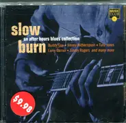 Tutu Jones, Carey Bell a.o. - Slow Burn: An After Hours Blues Collection