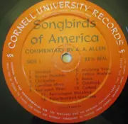 10'' - Song Birds Of America - In Color, Sound and Story - Commentary by A.A. Allen