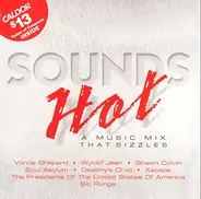 Shawn Colvin ; Bic Runga ; Soul Asylum ; a.o. - Sounds Hot: A Music Mix That Sizzles