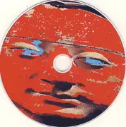 CD - Bradzo, Theme Park, Gee - Talkingheads Psychotribute