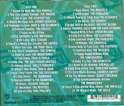 Double CD - lThe Tokens / The Silhouettes  a.o - Teenagers In Love