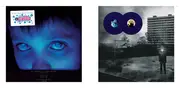 2x 10'' - Sand Snowman / Theo Travis / Steven Wilson a.o. - Tf100 - Limited Edition, Book, CD, Insert