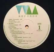 LP - Faye Hunter / The dB's / Chris Stamey / Myra Holder / a.o. - The Water Music Compilation Album