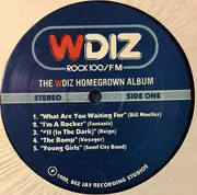 LP - Various - The WDIZ Homegrown Album