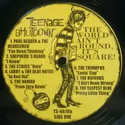 LP - Various - The World Ain't Round, It's Square! (17 Paint-Peeling Garage-Punk Monsters!!!)