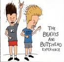 CD - Nirvana, RUN DMC, Aerosmith, Primus - The Beavis And Butt-Head Experience
