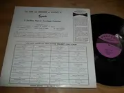 LP - Symphonetta Madrid / Banda Plaza De Torros a.o. - The Fire And Romance Of Castles In Spain