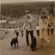 CD - The Byrds, Fleetwood Mac & others - The Summer Of Love