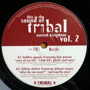 2 x 12inch Vinyl Single - Suzanne Palmer / Deep Dish / Danny Tenaglia a.o. - This Is The Sound Of Tribal United Kingdom Volume 2