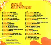 Double CD - Gloria Gaynor, Cameo, a.o. - Tony Blackburn - Soul Survivor