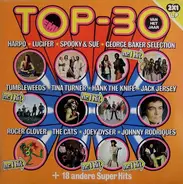 Harpo / Lucifer / Spooky & Sue / George Baker Selection a. o. - Top-30 Van Het Jaar