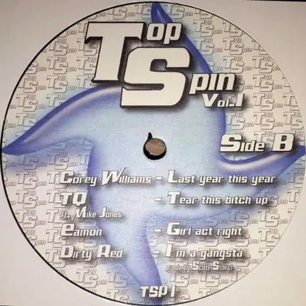 RnB Sampler - Top Spin Vol.1