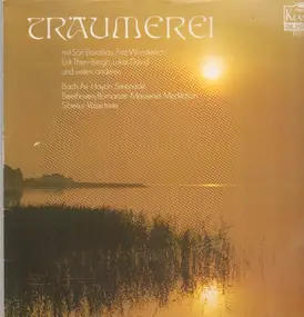 Südwestdeutsches Kammerorchester - Träumerei