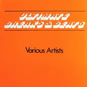 The Headhunters - Ultimate Breaks & Beats