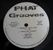 Hip-Hop Sampler - Phat Grooves