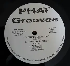 Hip-Hop Sampler - Phat Grooves