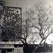 Double LP - Mariachi Jalisco De Pepe Villa, Jorge Valente, Irma Serrano, a.o - Viva Mexico - Gatefold